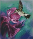 (image for) Hummingbird